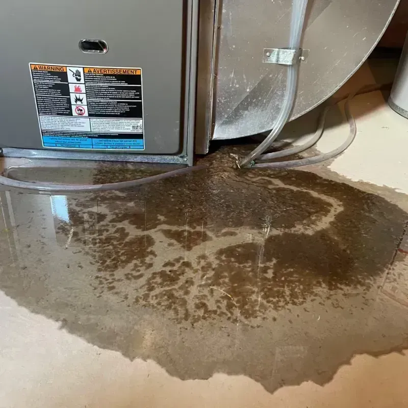 Appliance Leak Cleanup in Derby, CO